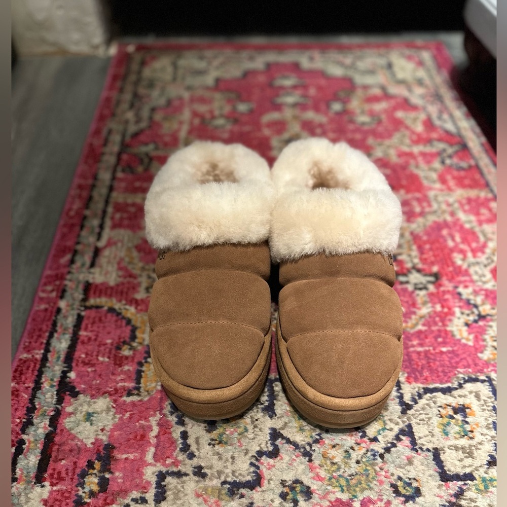 Brand new, never worn Platform Uggs!